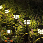 Solar Garden Yard Light (Pack of 6)